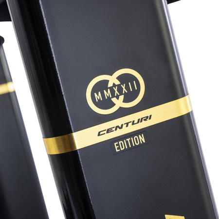 BIEŻNIA ELEKTRYCZNA Tunturi Centuri T100